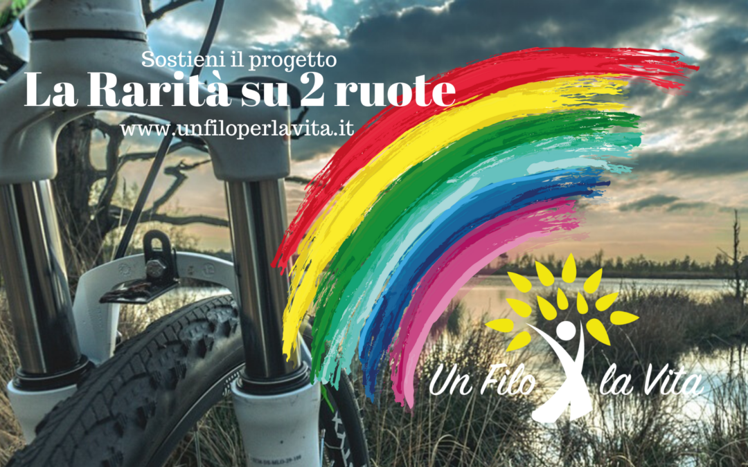 Progetto la Rarità su 2 Ruote